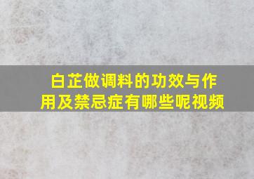 白芷做调料的功效与作用及禁忌症有哪些呢视频