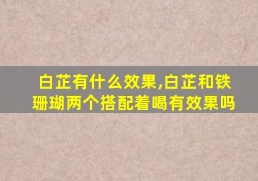 白芷有什么效果,白芷和铁珊瑚两个搭配着喝有效果吗