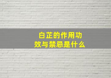 白芷的作用功效与禁忌是什么