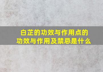 白芷的功效与作用点的功效与作用及禁忌是什么