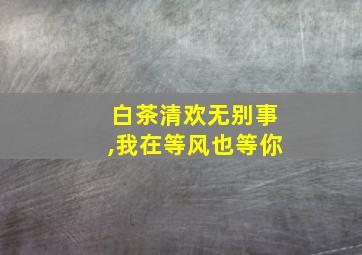 白茶清欢无别事,我在等风也等你