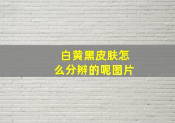 白黄黑皮肤怎么分辨的呢图片