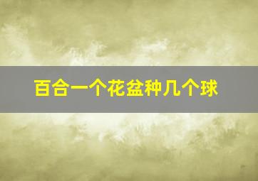 百合一个花盆种几个球