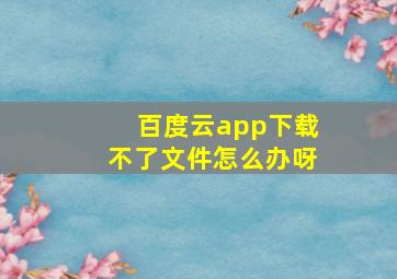 百度云app下载不了文件怎么办呀