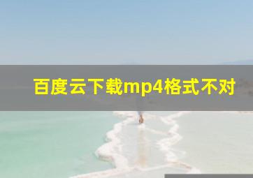 百度云下载mp4格式不对