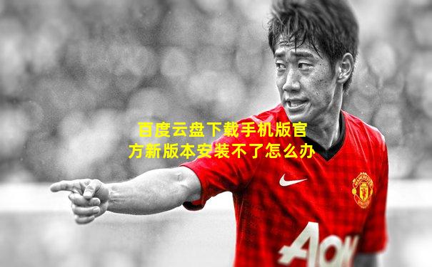百度云盘下载手机版官方新版本安装不了怎么办