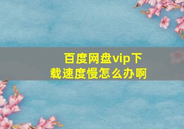 百度网盘vip下载速度慢怎么办啊