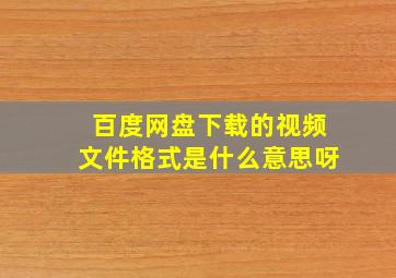 百度网盘下载的视频文件格式是什么意思呀