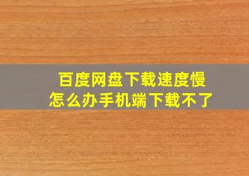 百度网盘下载速度慢怎么办手机端下载不了