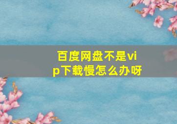 百度网盘不是vip下载慢怎么办呀