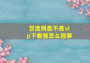 百度网盘不是vip下载慢怎么回事