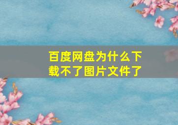 百度网盘为什么下载不了图片文件了