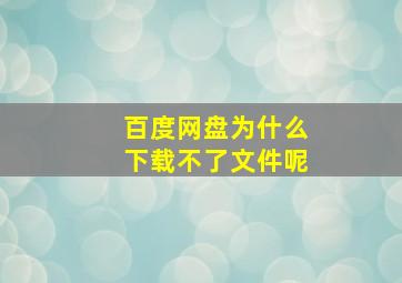 百度网盘为什么下载不了文件呢