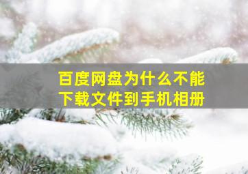 百度网盘为什么不能下载文件到手机相册