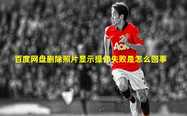 百度网盘删除照片显示操作失败是怎么回事