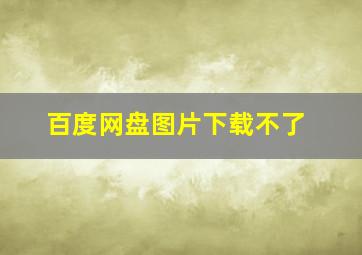 百度网盘图片下载不了