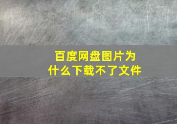 百度网盘图片为什么下载不了文件