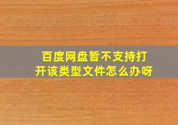 百度网盘暂不支持打开该类型文件怎么办呀