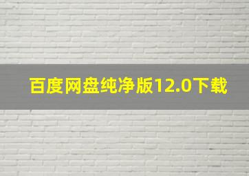 百度网盘纯净版12.0下载