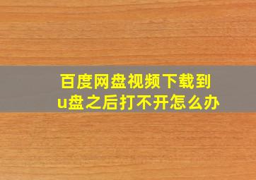 百度网盘视频下载到u盘之后打不开怎么办