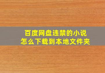 百度网盘违禁的小说怎么下载到本地文件夹