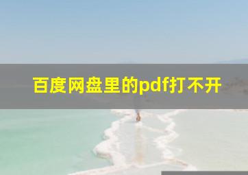 百度网盘里的pdf打不开