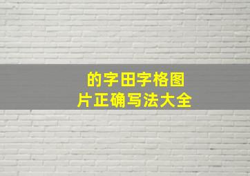 的字田字格图片正确写法大全