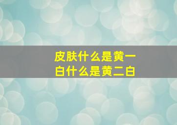 皮肤什么是黄一白什么是黄二白