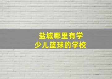 盐城哪里有学少儿篮球的学校