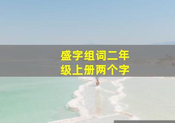 盛字组词二年级上册两个字