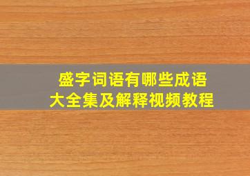 盛字词语有哪些成语大全集及解释视频教程