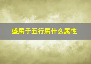 盛属于五行属什么属性