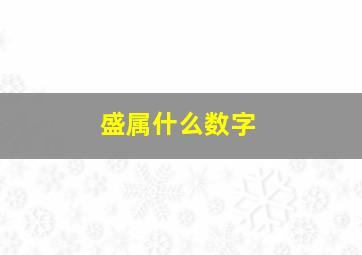 盛属什么数字