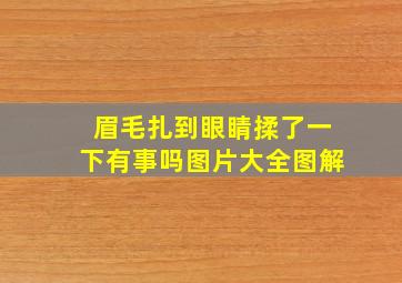 眉毛扎到眼睛揉了一下有事吗图片大全图解