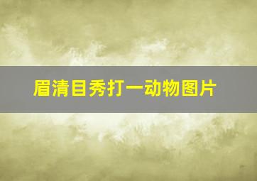 眉清目秀打一动物图片