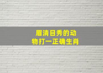 眉清目秀的动物打一正确生肖