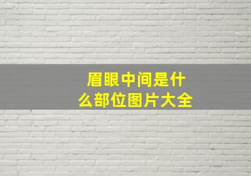 眉眼中间是什么部位图片大全