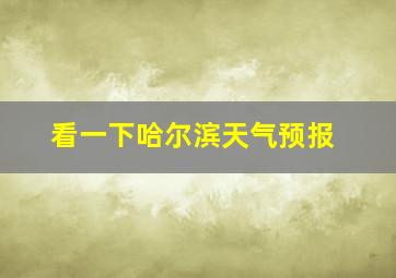 看一下哈尔滨天气预报