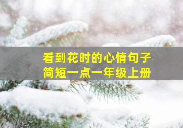 看到花时的心情句子简短一点一年级上册