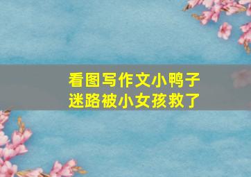 看图写作文小鸭子迷路被小女孩救了