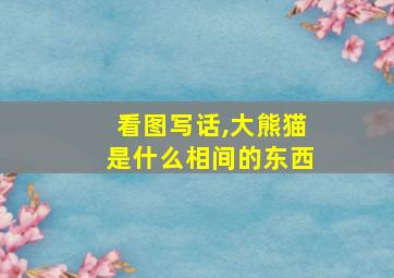 看图写话,大熊猫是什么相间的东西