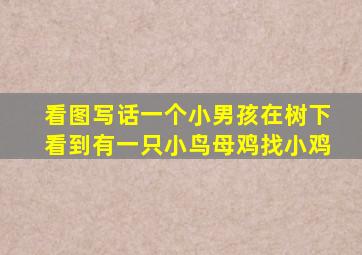 看图写话一个小男孩在树下看到有一只小鸟母鸡找小鸡