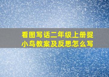 看图写话二年级上册捉小鸟教案及反思怎么写