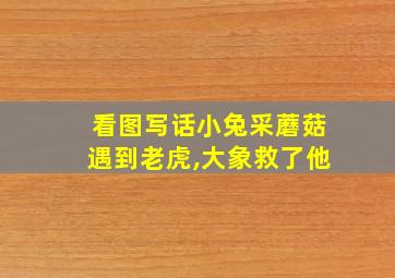 看图写话小兔采蘑菇遇到老虎,大象救了他