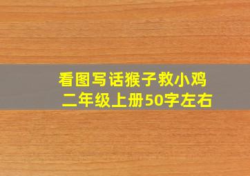 看图写话猴子救小鸡二年级上册50字左右