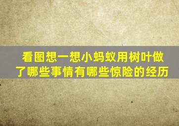 看图想一想小蚂蚁用树叶做了哪些事情有哪些惊险的经历