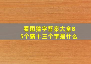 看图猜字答案大全85个猜十三个字是什么