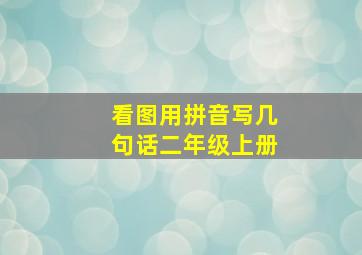 看图用拼音写几句话二年级上册