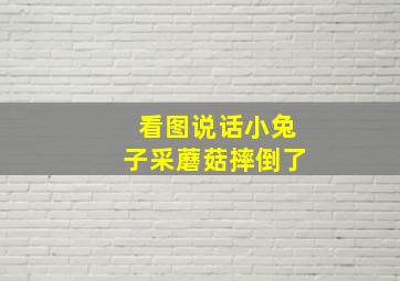 看图说话小兔子采蘑菇摔倒了