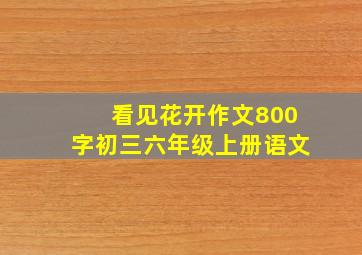 看见花开作文800字初三六年级上册语文